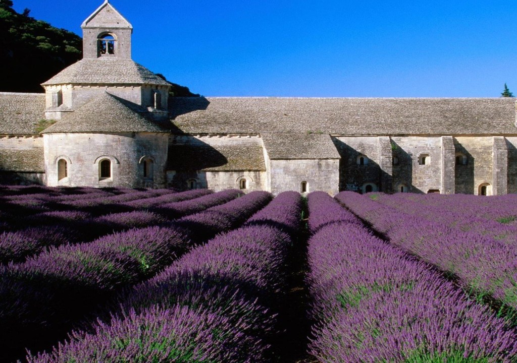 Affordable Style: Guesthouses and Country Inns of Provence